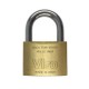 قفل آویز 50mm ویرو Padlock