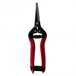 قیچی میوه چین سرکج واستر مدل VFP009