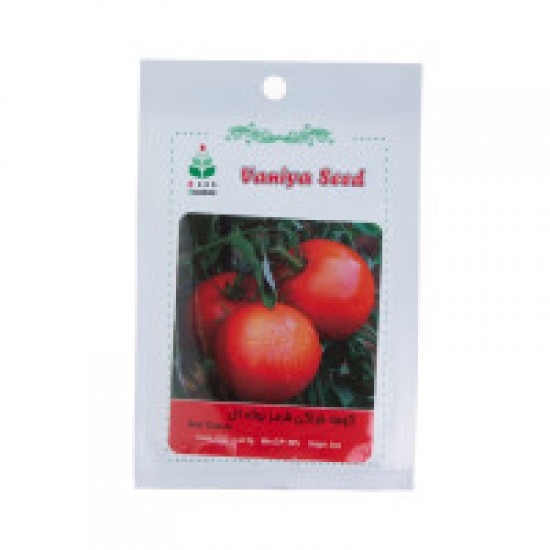 بذر گوجه فرنگی قرمز بوته ای آذر سبزینه G38