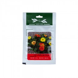 بذر همیشه بهار، پاکوتاه، الوان بذر همیشه بهار، پاکوتاه، الوان