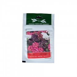 بذر شاهپسند الوان