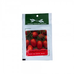 بذر گوجه تخم مرغی قرمز بوته‌ای