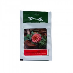 بذر گل آهار گلبهی