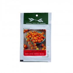 بذر گوجه چری نارنجی درختی