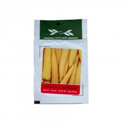 بذر بیبی ذرت زرد