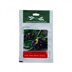 بذر فلفل مینیاتوری بنفش