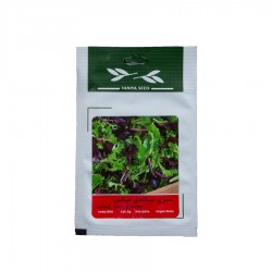 بذر سبزی سالادی میکس