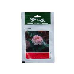 بذر گل آهار پاکوتاه، رزگلد