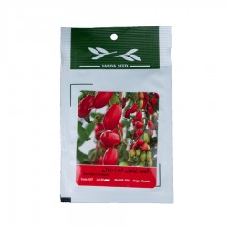 بذر گوجه زیتونی قرمز درختی