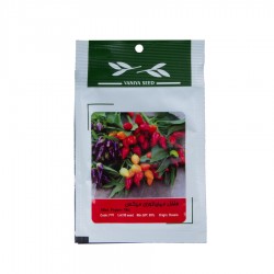 بذر فلفل مینیاتوری میکس