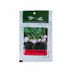 بذر ترب سفید گرد