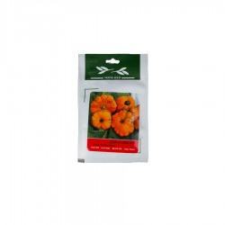 بذر کدو ستاره‌ای