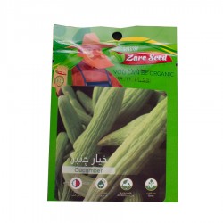 بذر خیار چنبر