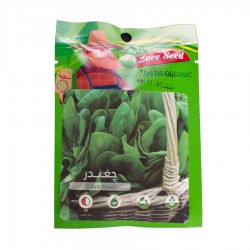 بذر چغندر قند بذر چغندر قند