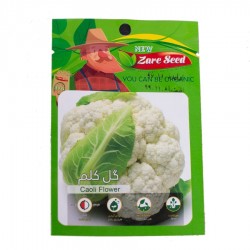 بذر گل کلم زر سید