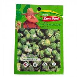 بذر کلم بروکسل