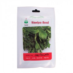 بذر شاهی برگ پهن