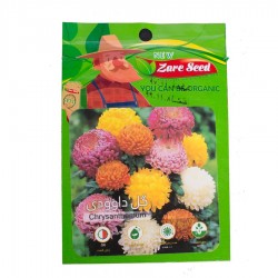 بذر گل داوودی پاکوتا، الوان