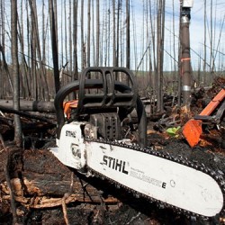 اره زنجیری بنزینی 40 سانتی متر اشتیل مدل MS260 اره زنجیری بنزینی 40 سانتی متر اشتیل مدل MS260